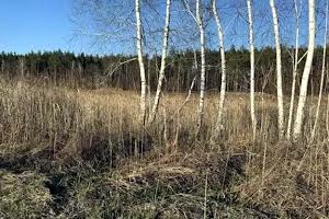 ділянка за адресою Старообухівська вул.