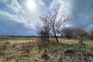 участок по адресу с. Михайловка-Рубежовка, Ворошилова