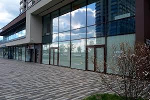 комерційна за адресою Олександра Олеся вул., 18