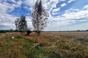 ділянка за адресою с. Козинці, 