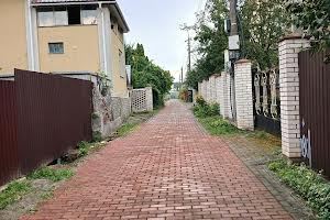 участок по адресу с. Лесники, Тарасовая Нива ул.