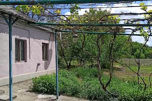 будинок за адресою с. Розумівка, Мира, 2