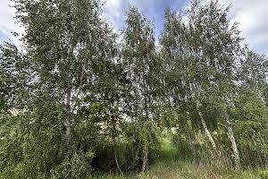 ділянка за адресою Лугова вул.