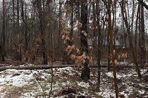 участок по адресу пгт. Ворзель, Котляревського, 53