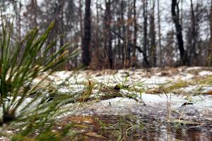 участок по адресу пгт. Ворзель, Котляревського, 53