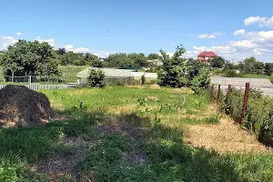 будинок за адресою с. Нові Петрівці, абрикосова