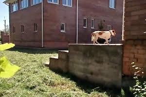 будинок за адресою Столична вул.