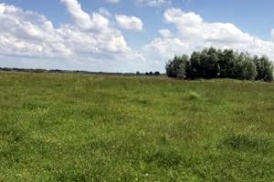ділянка за адресою с. Підгірці, Лугова вул.