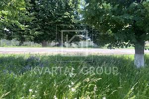 участок по адресу с. Дмитровка, Липова