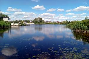 ділянка за адресою Центральна вул., 22в
