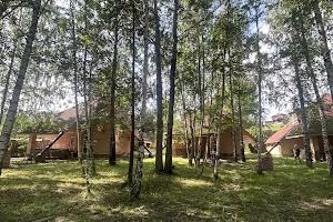 будинок за адресою с. Новосілки, Квіткова