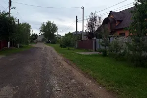 участок по адресу Новицького, 5