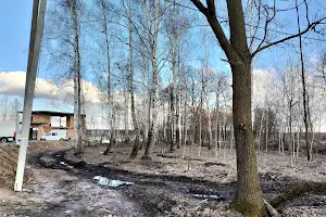 ділянка за адресою Кричевського, 25Б