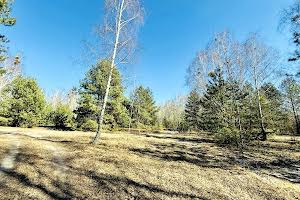 ділянка за адресою Північна