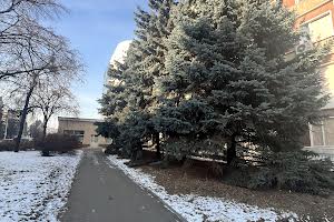 комерційна за адресою Європейська вул. (Новгородська), 3