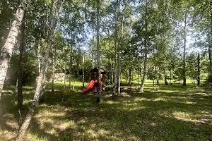 будинок за адресою с. Новосілки, Квіткова