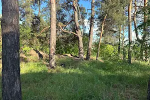 участок по адресу Луговая ул.