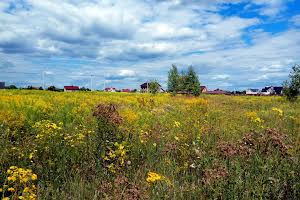 ділянка за адресою с. Рожни, Зелена