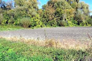 участок по адресу с. Тростинка, Київська
