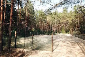 ділянка за адресою Биківнянський пров.