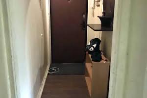 квартира за адресою Руслана Плоходька вул., 15а