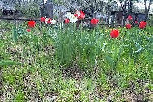 будинок за адресою Центральна вул.