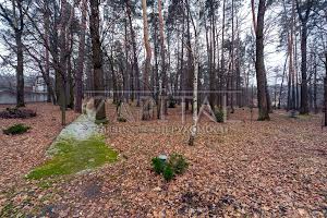 будинок за адресою с. Дмитрівка, Зоряна