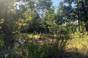 участок по адресу Дніпровська