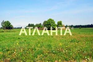 ділянка за адресою Мичурина