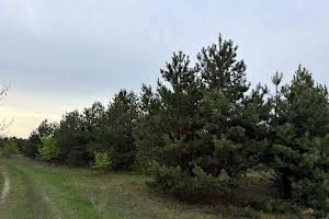 участок по адресу с. Катюжанка, 