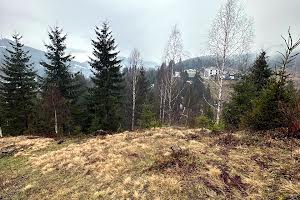 участок по адресу Стаїщі