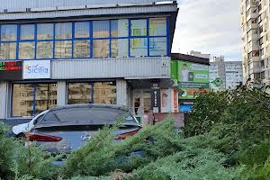 комерційна за адресою Лариси Руденко вул., 6-А