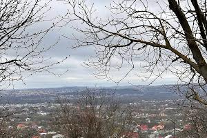 участок по адресу Целинная ул., 43