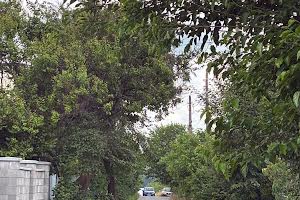 будинок за адресою Садова 80, 11