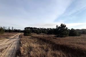 участок по адресу с. Дмитровка, 