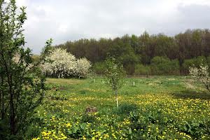 будинок за адресою Сонячна, 9