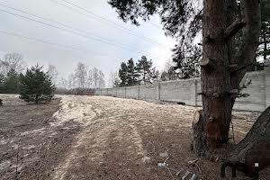 ділянка за адресою с. Плюти, Старокиївська