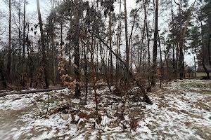 участок по адресу пгт. Ворзель, Котляревського, 53