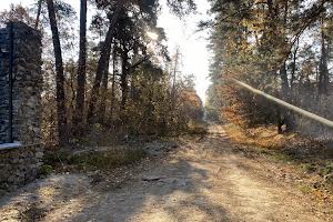 ділянка за адресою Анатолія Солов'яненка вул.