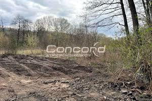 участок по адресу Залужний пер., 17
