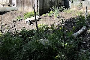 квартира за адресою Фонтанська дорога вул., 107