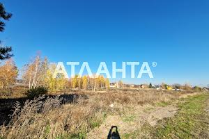 ділянка за адресою смт. Калинівка, 