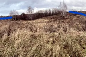 участок по адресу с. Рославичи, Лісова