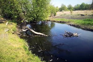 ділянка за адресою Річна вул., 5