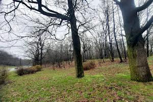 участок по адресу с. Цибли, Городищанська
