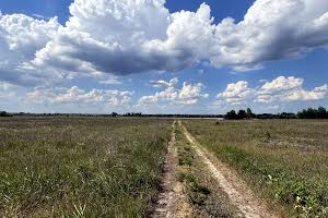 участок по адресу с. Севериновка, 