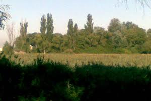 участок по адресу с. Бзов, братів гуріних, 4