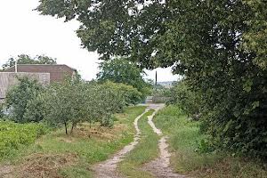 участок по адресу Слобідська