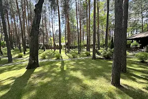 участок по адресу пгт. Козин, Ясный пер.