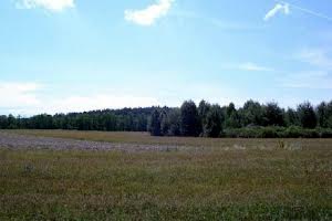 ділянка за адресою с. Березівка, 